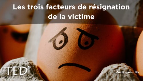 Images articles
